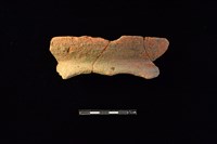 藏品(陶罐)的圖片